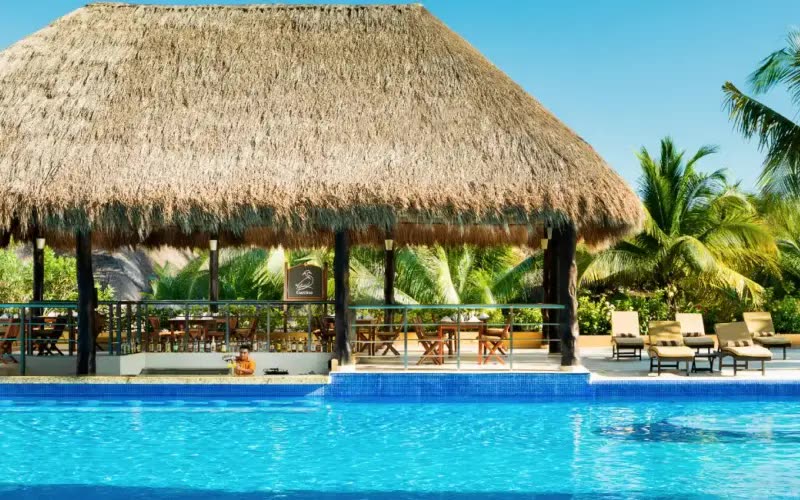 Reference: a thatched-roof palapa pool bar overlooking the lagoon at golden hour.